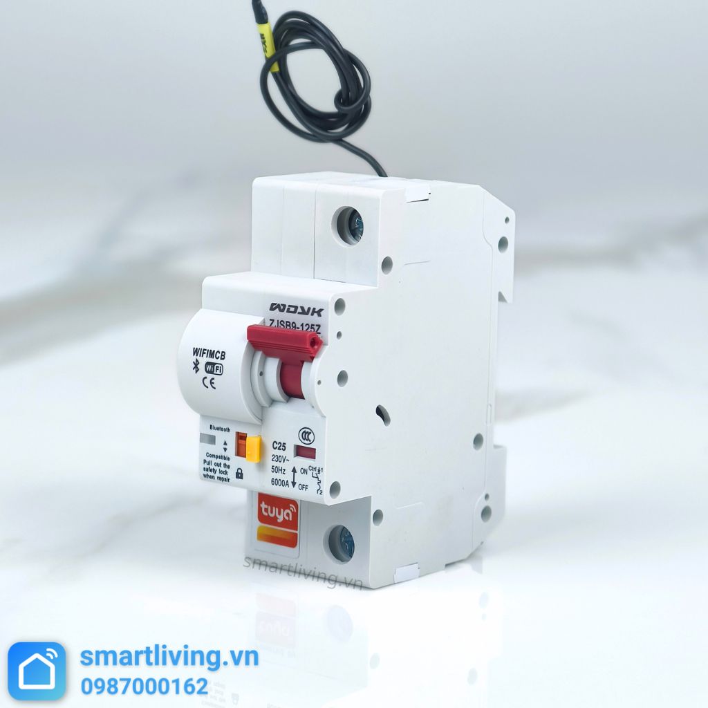 Aptomat CB thông minh Wifi Tuya 1p nghiên trái