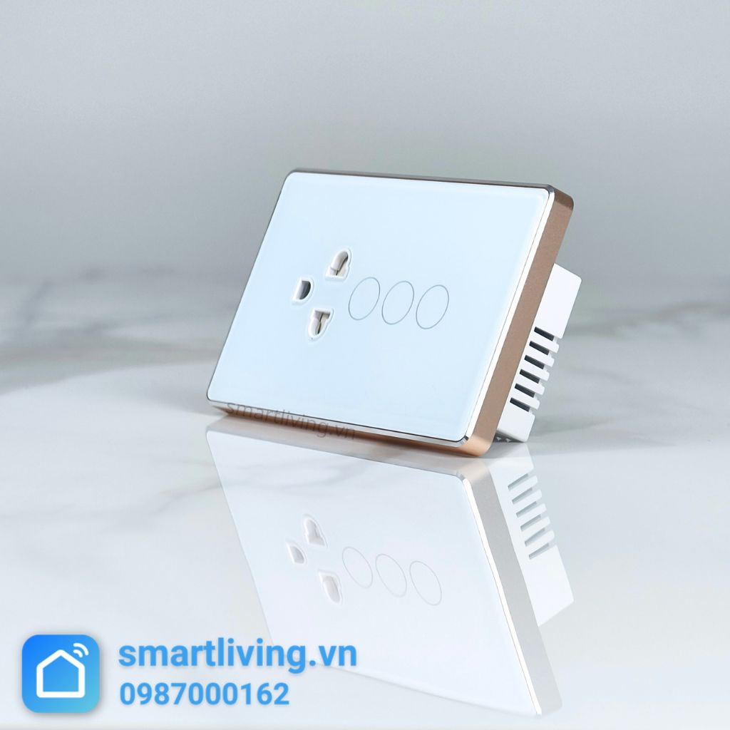 Công tắc 2 nút + Ổ cắm Zigbeetrắng nghiên 2