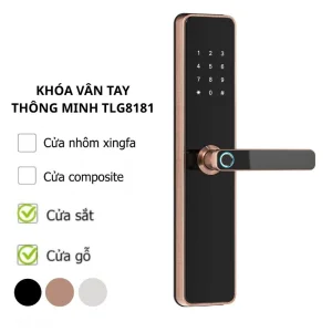 Khóa Vân Tay Thông Minh TLG8181 - Thay Thế Khóa Cửa Chính Chung Cư, Cửa Đại Sảnh, Cửa Phòng Gỗ