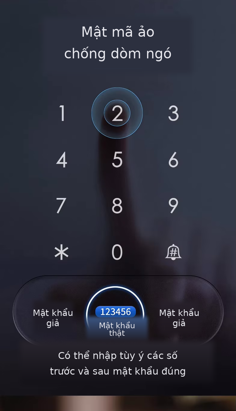 ef0067f7a9cc5923.png